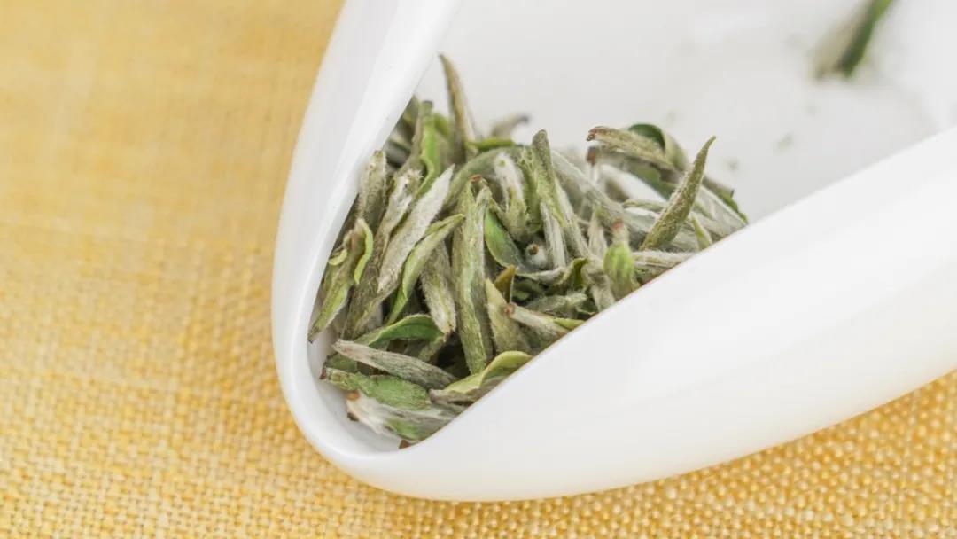 white needle tea white needle tea