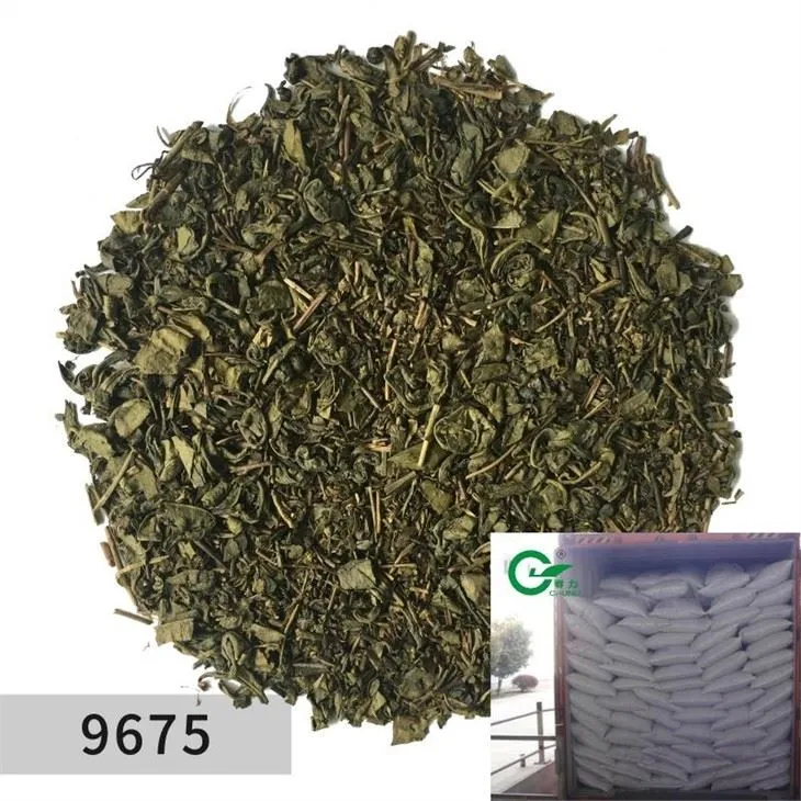 گن پاؤڈر گرین چائے 9675